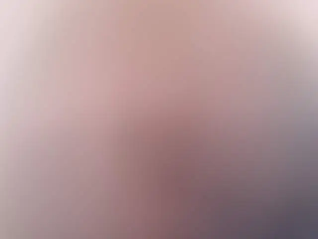 drypandevat image 3